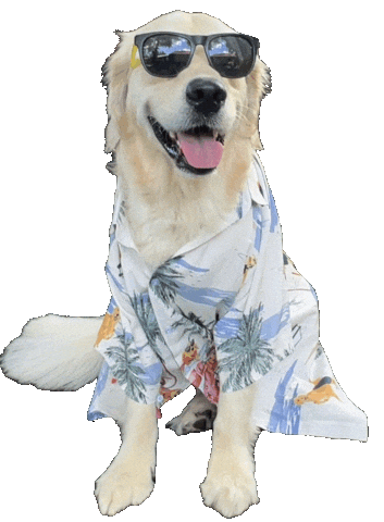 Dog Work Sticker by Rigatoni