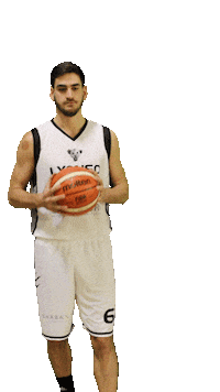 LyonsoBasket basketball nba national bball Sticker