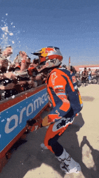 Celebrate GIF by Red Bull