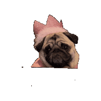 Excited Birthday Sticker