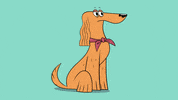 Dog What GIF by ZIP ZIP