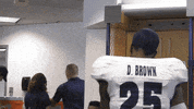 NevadaWolfPack football wolf pack unr nevada wolf pack GIF