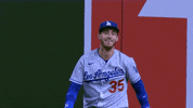 Major League Baseball Sport GIF by MLB