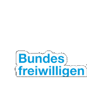 Bfd Sticker by DiakonieSachsen