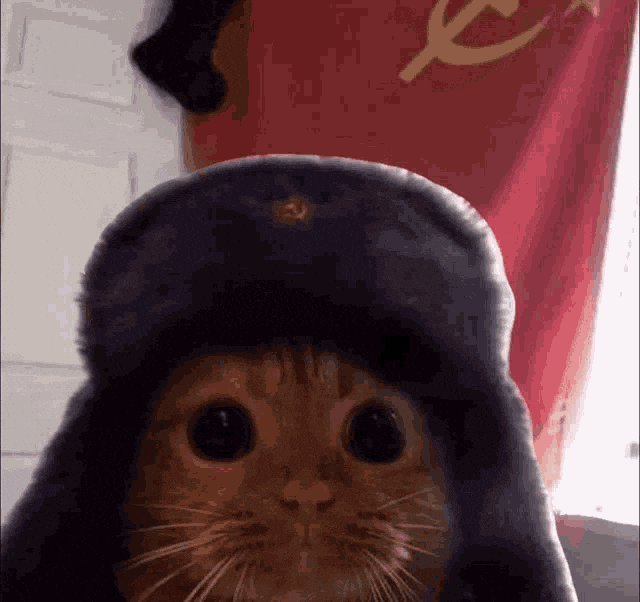Comunista GIF