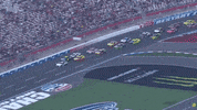 Charlotte Motor Speedway Sport GIF by NASCAR