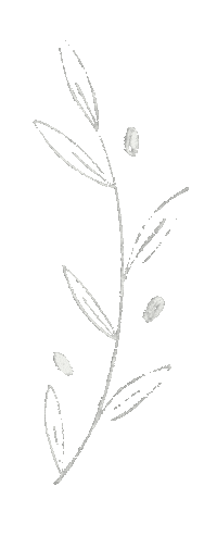 Illustration Flower Sticker