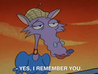 rockos modern life nicksplat GIF