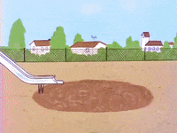 charlie brown GIF by Peanuts
