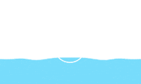 DragonAusNZ sunglasses dragonalliance floatable theyfloat Sticker