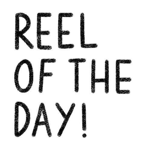 Of The Day Sticker by Catharina Stewart