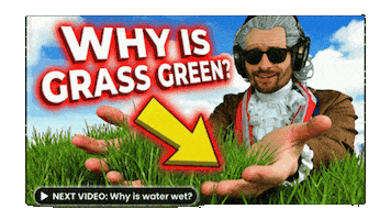 Pointing Out The Obvious Green Grass Sticker