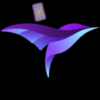 Spirit Cards GIF by Syncspert