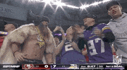 National Football League GIF by NFL