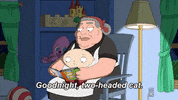 peter griffin fox GIF by Family Guy