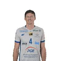 Happy Volleyball Sticker by PGE GiEK Skra Bełchatów