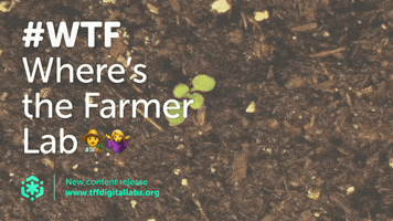 thoughtforfood thoughtforfood tffdigitallabs wheresthefarmer GIF