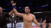 ufc 210 GIF