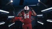 College Football GIF by gamecocksonline