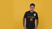 Cal State La Soccer GIF by Cal State LA Golden Eagles