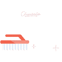 CleanipediaSA home house cleaning spring clean Sticker