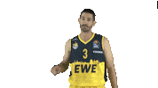 Ewe Baskets Basketball Sticker by EWE Baskets Oldenburg