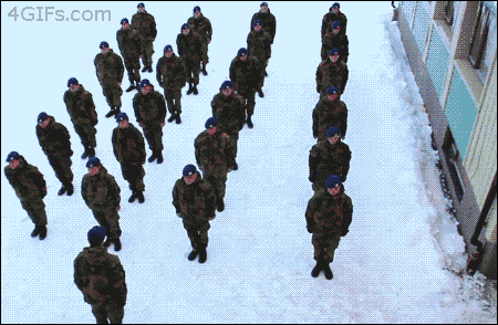 party army GIF