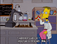 season 8 professor john frink GIF