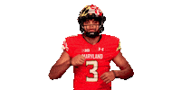 College Football Sticker by Maryland Terrapins