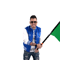 Irving Banderabrasil Sticker by BOBO