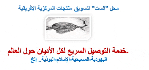 lionthewader giphygifmaker giphyattribution GIF