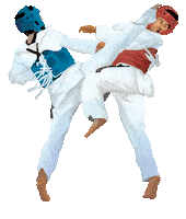 Martial Arts Sport Sticker by vank