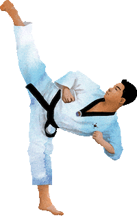 Martial Arts Sport Sticker by vank