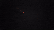 David Guetta GIF by Jason Derulo