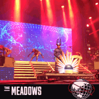 empire of the sun GIF by The Meadows NYC