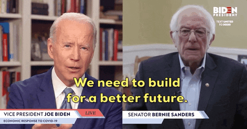 Bernie Sanders GIF by Election 2020