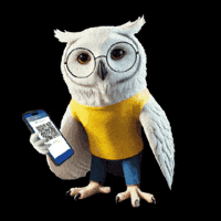 Owl Busfahren GIF by PaderSprinter