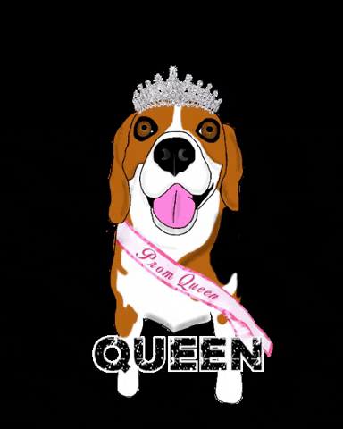 Dog Queen GIF