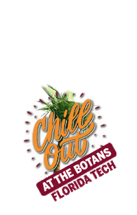 FloridaTechOfficial chill florida palmtrees botanicalgarden Sticker