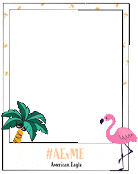 americaneaglehk ae american eagle aeo aejeans Sticker