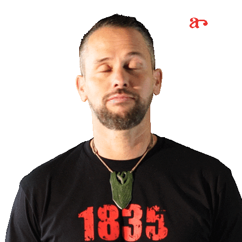 Maoriparty giphyupload vote elections shaking my head Sticker