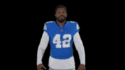 Nfl No GIF by Detroit Lions