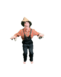 Guy Scarecrow Sticker by Samford University