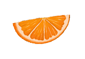 Sonam23 orange fruits oranges sonamm Sticker