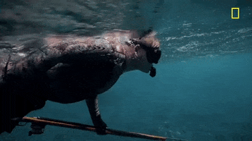 Uncharted Gordon Ramsay GIF by National Geographic Channel