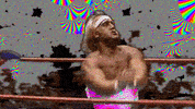 Hulk Hogan Wwe GIF by The NGB