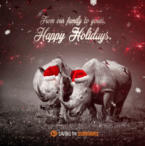 Christmas Rhino GIF by Saving The Survivors