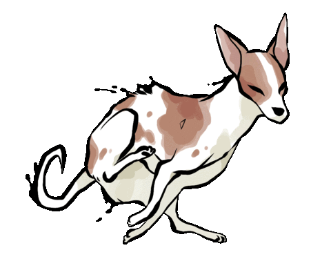 Cat Dog Sticker
