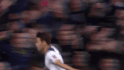 GIF by Tottenham Hotspur