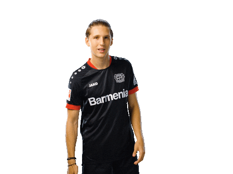 Bayer 04 Yes Sticker by Bayer 04 Leverkusen